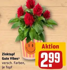 REWE DE Zinktopf Gute Vibes tilbud