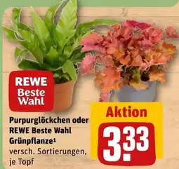 REWE DE REWE Beste Wahl GrünPflanze tilbud
