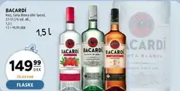 Scandinavian Park BACARDÍ tilbud