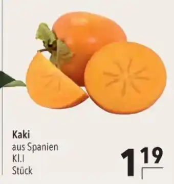 Kaki