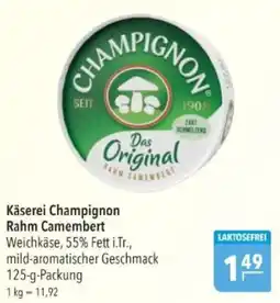 Citti Champignon Rahm Camembert tilbud