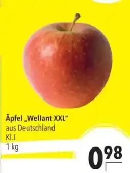 Citti Wellant XXL tilbud