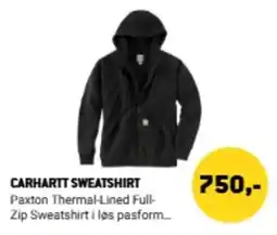 XL-BYG Carhartt sweatshirt tilbud