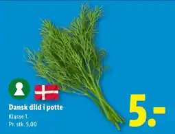 Lidl Dild i potte tilbud