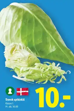 Lidl Spidskål tilbud
