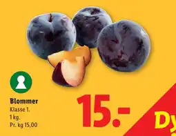 Lidl Blommer tilbud