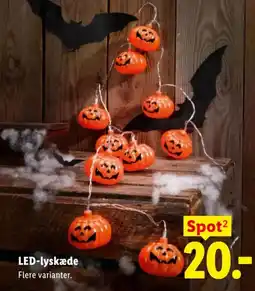 Lidl LED-lyskæde tilbud
