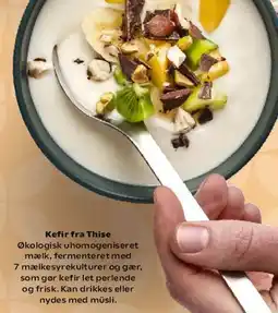 Kvickly Thise økologisk kefir (servering) tilbud