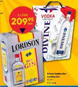 BorderShop Divine Vodka eller Lordson Gin (3 liter) tilbud