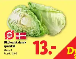 Lidl Spidskål tilbud