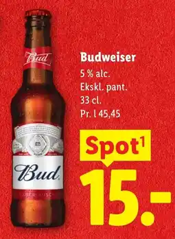 Lidl Budweiser tilbud