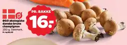 Netto Øgo økologiske danske brune champignon tilbud