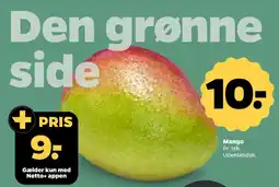 Netto Mango tilbud