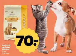 Netto Raakraft tørfoder til katte tilbud