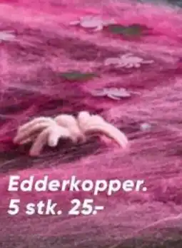 Bilka Edderkopper tilbud