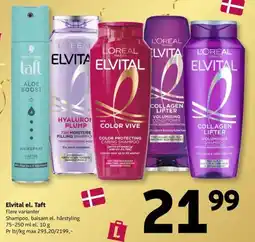 Løvbjerg Elvital el. Taft tilbud