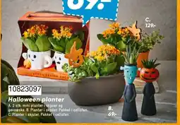 Bilka Livetrends design group halloween planter tilbud