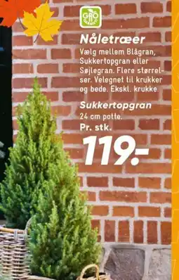 Bilka Nåletræer tilbud