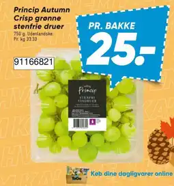 Bilka Princip stenfrie vindruer tilbud