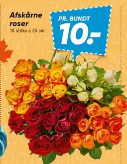 Bilka Afskårne roser tilbud