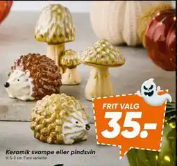 Bilka Keramik svampe eller pindsvin tilbud