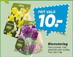 Bilka Blomsterløg tilbud