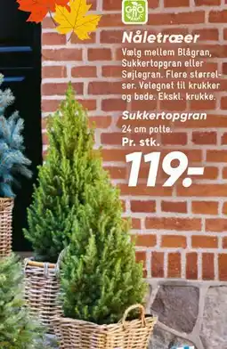 Bilka Sukkertopgran tilbud