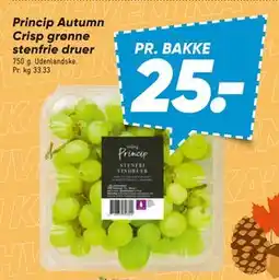 Bilka Princip Autumn Crisp grønne stenfrie druer tilbud