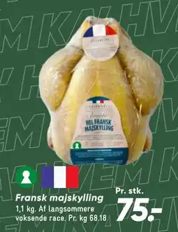 Bilka Fransk majskylling tilbud