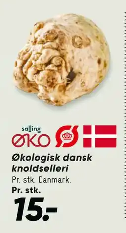 Bilka Økologisk dansk knoldselleri tilbud