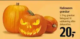 Føtex Halloween græskar tilbud