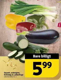 Løvbjerg Squash, aubergine, forårsløg el. peberfrugt tilbud