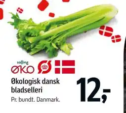Føtex Økologisk dansk bladselleri tilbud