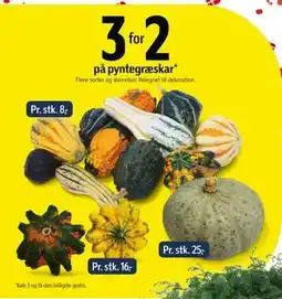Føtex Pyntegræskar tilbud