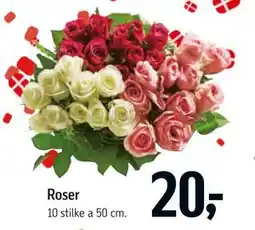 Føtex Roser tilbud