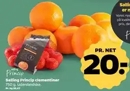 Netto Salling Princip clementiner tilbud