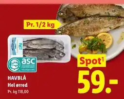 Lidl Hel ørred tilbud