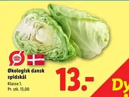 Lidl Økologisk dansk spidskål tilbud