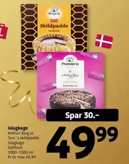 Løvbjerg Premier Is Islagkage tilbud