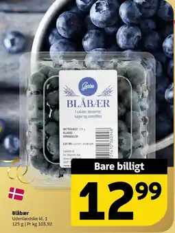 Løvbjerg Gestus Blåbær tilbud