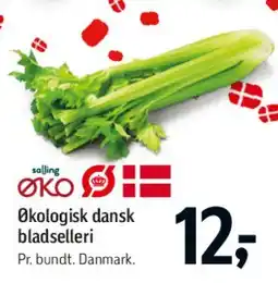 Føtex Økologisk dansk bladselleri tilbud