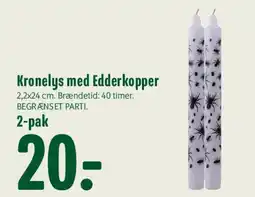Min Købmand Kronelys med Edderkopper tilbud
