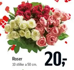 Føtex Roser tilbud