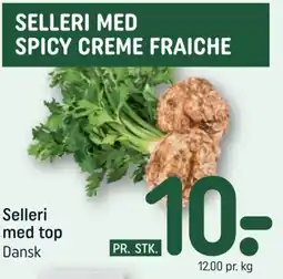 REMA 1000 Selleri med spicy creme fraiche tilbud