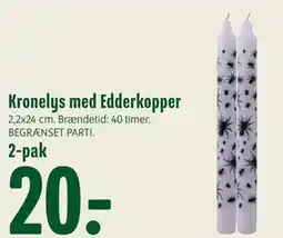 Min Købmand Kronelys med Edderkopper tilbud