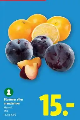 Lidl Blommer eller mandariner tilbud