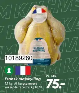 Bilka Essentiel fransk majskylling tilbud