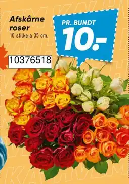 Bilka Afskårne roser tilbud