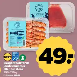 Netto Fersk jomfruhummer eller tunsteak tilbud