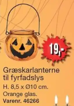 Harald Nyborg Græskarlanterne til fyrfadslys tilbud